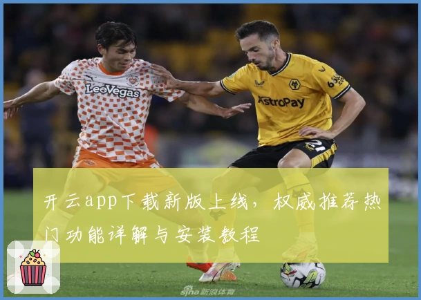 开云app下载新版上线，权威推荐热门功能详解与安装教程